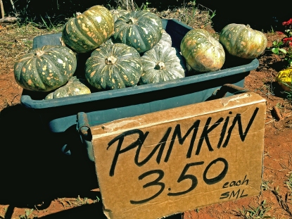 Jap pumpkins for sale at a roadside stall